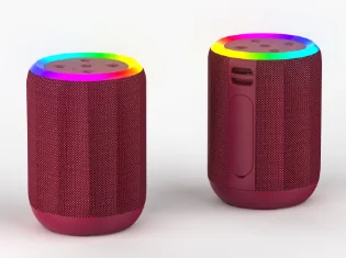 HZ-B301 Portable Bluetooth Speaker with TWS, RGB Lighting & Multiple Inputs (5W Speaker)